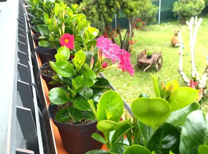 Bed & Breakfast Villa Molinella Molinella