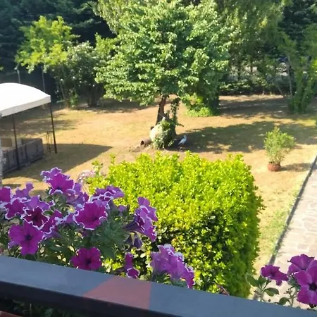 Bed & Breakfast Villa Molinella 3*