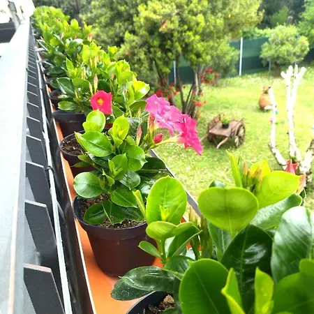 Alojamento de Acomodação e Pequeno-almoço Villa Molinella Molinella