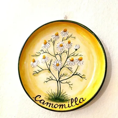 Alojamento de Acomodação e Pequeno-almoço Villa Molinella Molinella