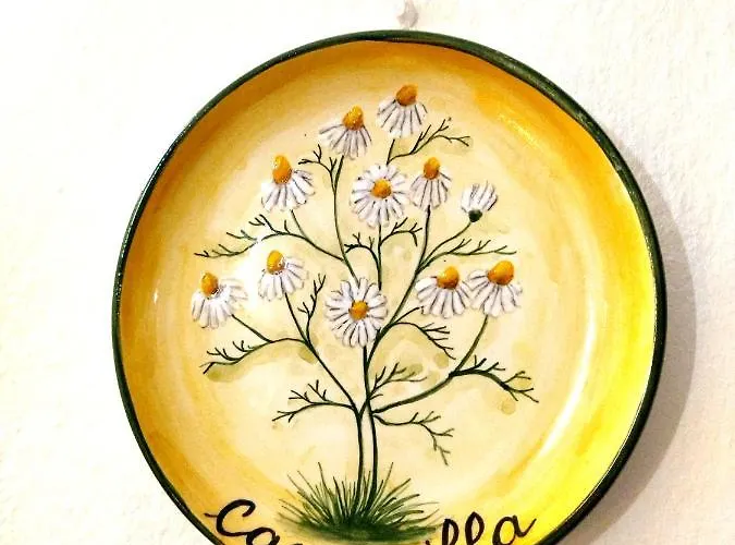 住宿加早餐酒店 Villa Molinella 莫利内拉